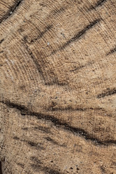 Similar image 10603418