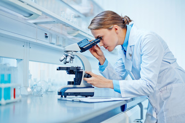 Similar image 10603932