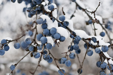 Similar image 10607275