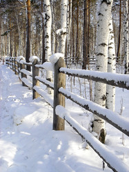 Similar image 10607300