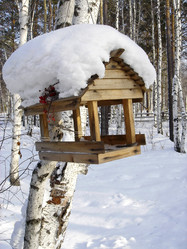 Similar image 10607301