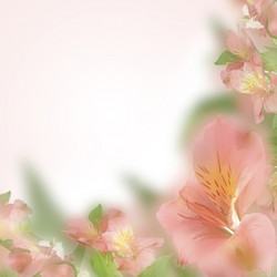 Similar image 10607311