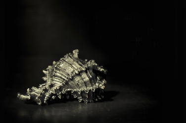 Similar image 10607317