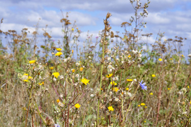 Similar image 10607318