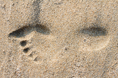 Similar image 10613348