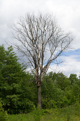 Similar image 10613351