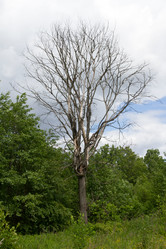 Similar image 10613352