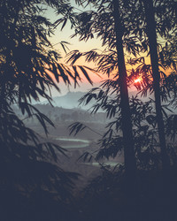 Similar image 10613353