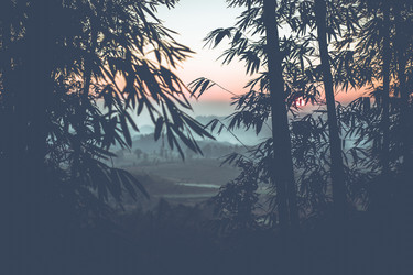 Similar image 10613354