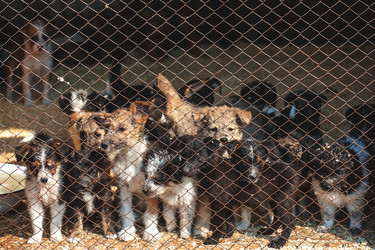 Similar image 10613358