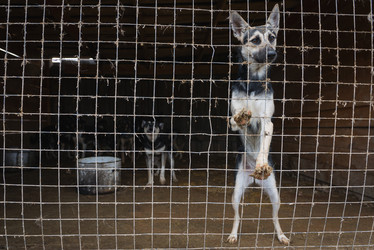 Similar image 10613360