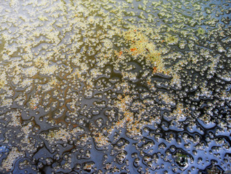 Similar image 10613508