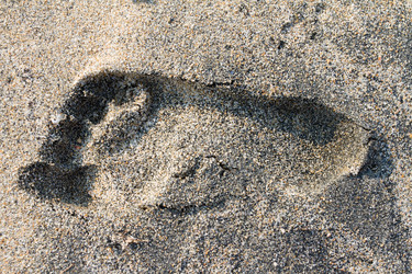 Similar image 10613523