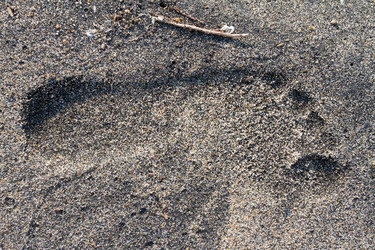 Similar image 10613525