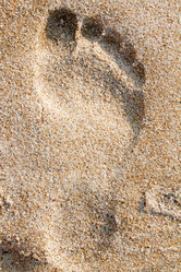 Similar image 10613527