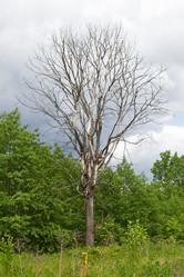 Similar image 10613535