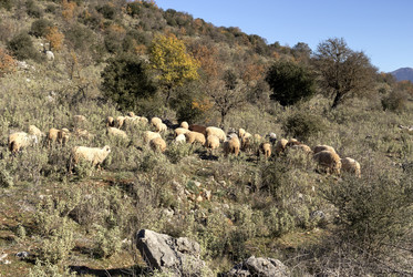 Similar image 10613565