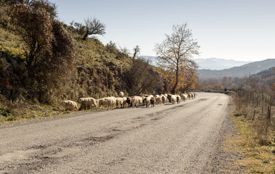 Similar image 10613567