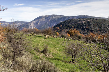 Similar image 10613569