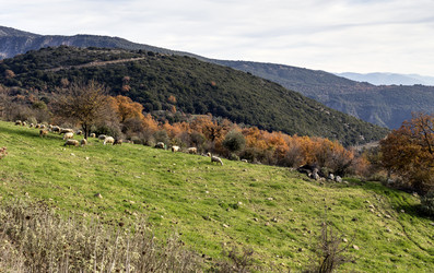 Similar image 10613570