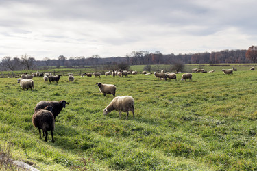 Similar image 10613572