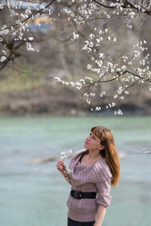 Similar image 10613846