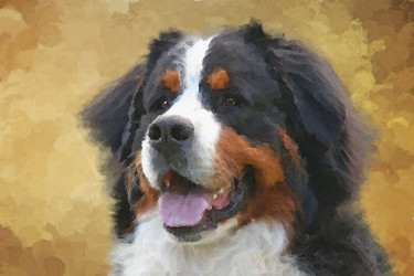 Similar image 10616662