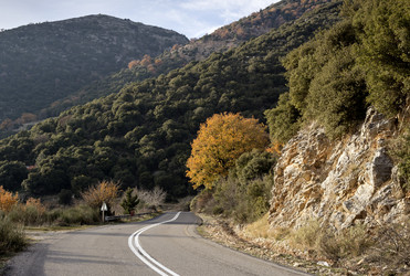 Similar image 10616906