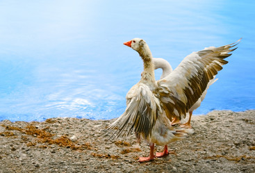 Similar image 10659407