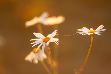 Similar image 10659409