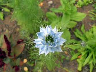 Similar image 10659418