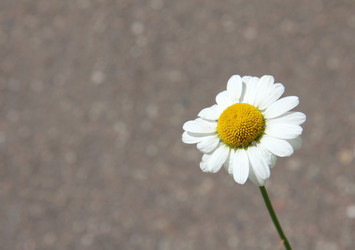 Similar image 10741821