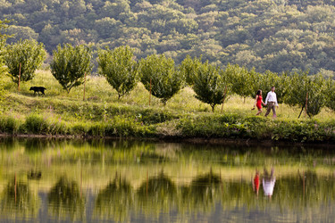 Similar image 10741826