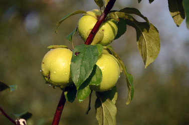 Similar image 10741923