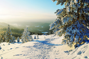 Similar image 10741928