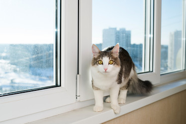 Similar image 10742002