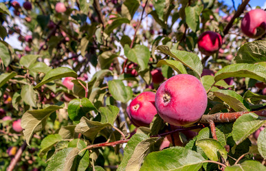 Similar image 10742063