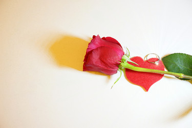 Similar image 10742077