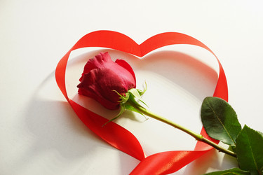 Similar image 10742078