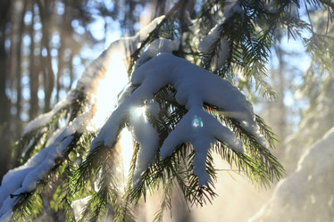 Similar image 10742110