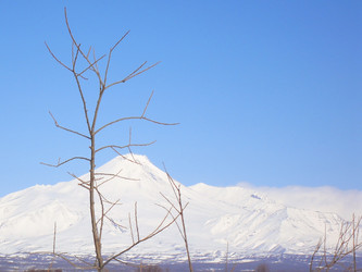 Similar image 10742179