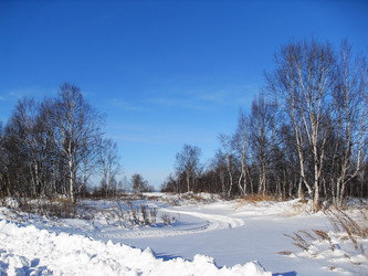 Similar image 10742182