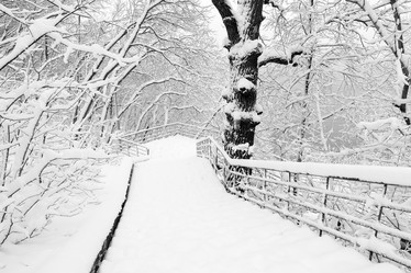 Similar image 10742879