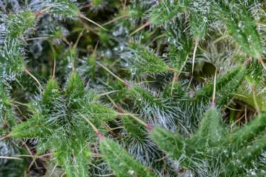 Similar image 10742894