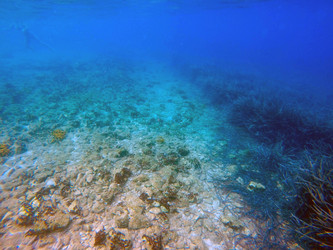 Similar image 10742953