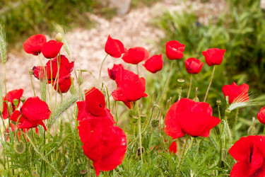 Similar image 10742954