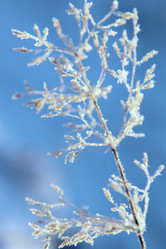 Similar image 10742961