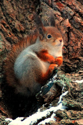 Similar image 10742964