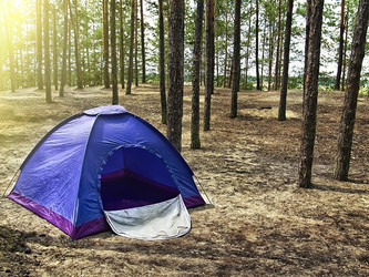 Similar image 10743100