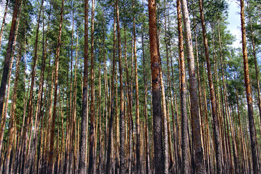 Similar image 10743104